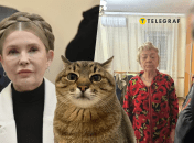 Юлия Тимошенко и глава ВЛК с Днепропетровщины