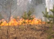 Нарушение пожарной безопасности в лесу грозит штрафом