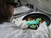 В Ухані зберігали зразки коронавірусу протягом семи років