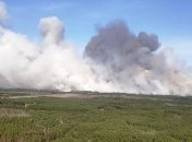 Лесные пожары из Беларуси перекинулись на Житомирщину   