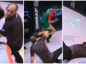 Рефері у нокауті