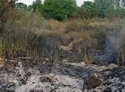 В Днепре горело поле сухостоя, выгорело 3 гектара сухой травы