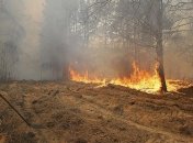 Пожар в Чернобыльской зоне удалось ликвидировать, уровень радиации в норме