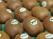 Киви – полезная ягода