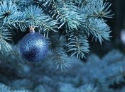 В Харькове, Одессе и других городах Украины зажгли новогодние елки (фото, видео)