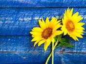 30 июля. Приметы дня