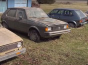 В сарае обнаружили пять заброшенных экземпляров популярной модели Volkswagen: из одного из них сделали "конфету" (видео)