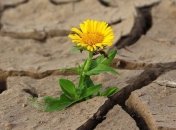 В Харькове с 25 июля не было дождей