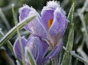 В Украину идет атмосферный фронт: синоптики предупреждают о сильных заморозках