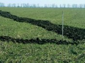 В Украине допускают возможность продажи земли юридическим лицам