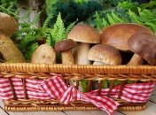 Стало известно, как грибы влияют на артериальное давление