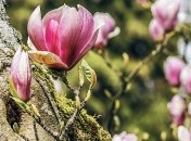 Местами до +20: сегодня Украина станет самым теплым местом Европы 