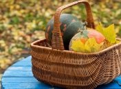 Лунный календарь садовода-огородника на октябрь 2021