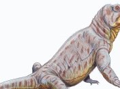 Первые млекопитающие обладали удивительными способностями