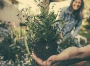 Садовые "супергерои": цветы, которые необходимо посадить в саду