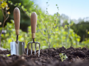 Побережіть свої овочі — не удобрюйте їх цим