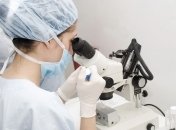 Наука: человек на 90% состоит из бактерий