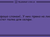 Этот прикол оценил даже слон: анекдоты 28 июля