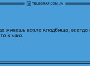 Весенний лучик позитива: свежая порция утренних анекдотов