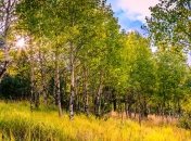 Прогноз погоды в Украине на 2 октября