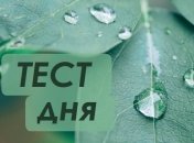 Возьмите лист бумаги и узнайте познайте самого себя