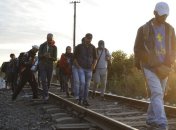 Германия ожидает до конца года 1,5 млн беженцев