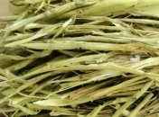 Кора осины в лечении сахарного диабета