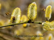 25 березня відзначається Благовіщення Пресвятої Богородиці