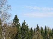 Ветрено и дождливо: синоптики рассказали, когда ждать потепления