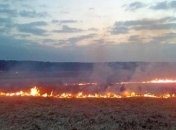 Украинцев предупредили о пожарной опасности