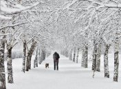 Прогноз погоды на 29 января: постепенное похолодание и снег