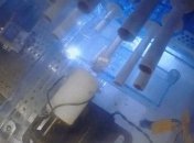 Робот-курильшик позволит ученым тщательней исследовать заболевания легких (Видео)