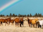 Вдохновляющие и сказочные пейзажи от трэвел-фотографа (Фото)