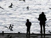 В Черном море запрещен вылов черноморской камбалы