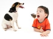 Животные помогают воспитывать детей