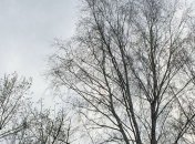 Погода в Украине на 20 декабря: преимущественно без осадков 