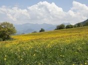 Грозы накроют всю Украину: прогноз погоды на неделю