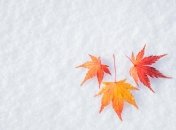 Во второй половине октября может пойти снег в Карпатах