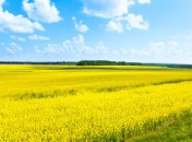 29 июля. Приметы дня