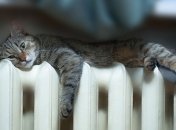 Почему в Киеве раньше начали отопительный сезон: появилось простое объяснение