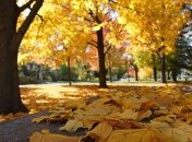 В Киеве установлен очередной температурный рекорд