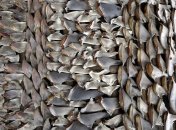 Плавці акул