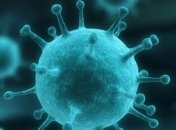 Эксперты рекомендуют готовится к сезону гриппа уже сейчас 