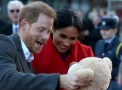 Меган Маркл и принц Гарри проведут День всех влюбленных порознь