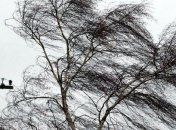 Разрушительный ветер: какие области в зоне опасности 