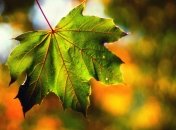 Успейте насладиться последними теплыми днями