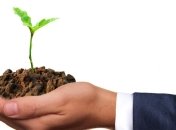 Ученые предложили высадить триллион деревьев для борьбы с глобальным потеплением