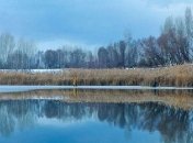 Зима отменяется: в Украине будет тепло, сыро и туманно 