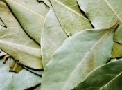 Лавровый лист - отличная приправа