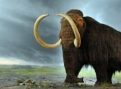Ученые рассказали, как пропал последний мамонт с евразийского континента
